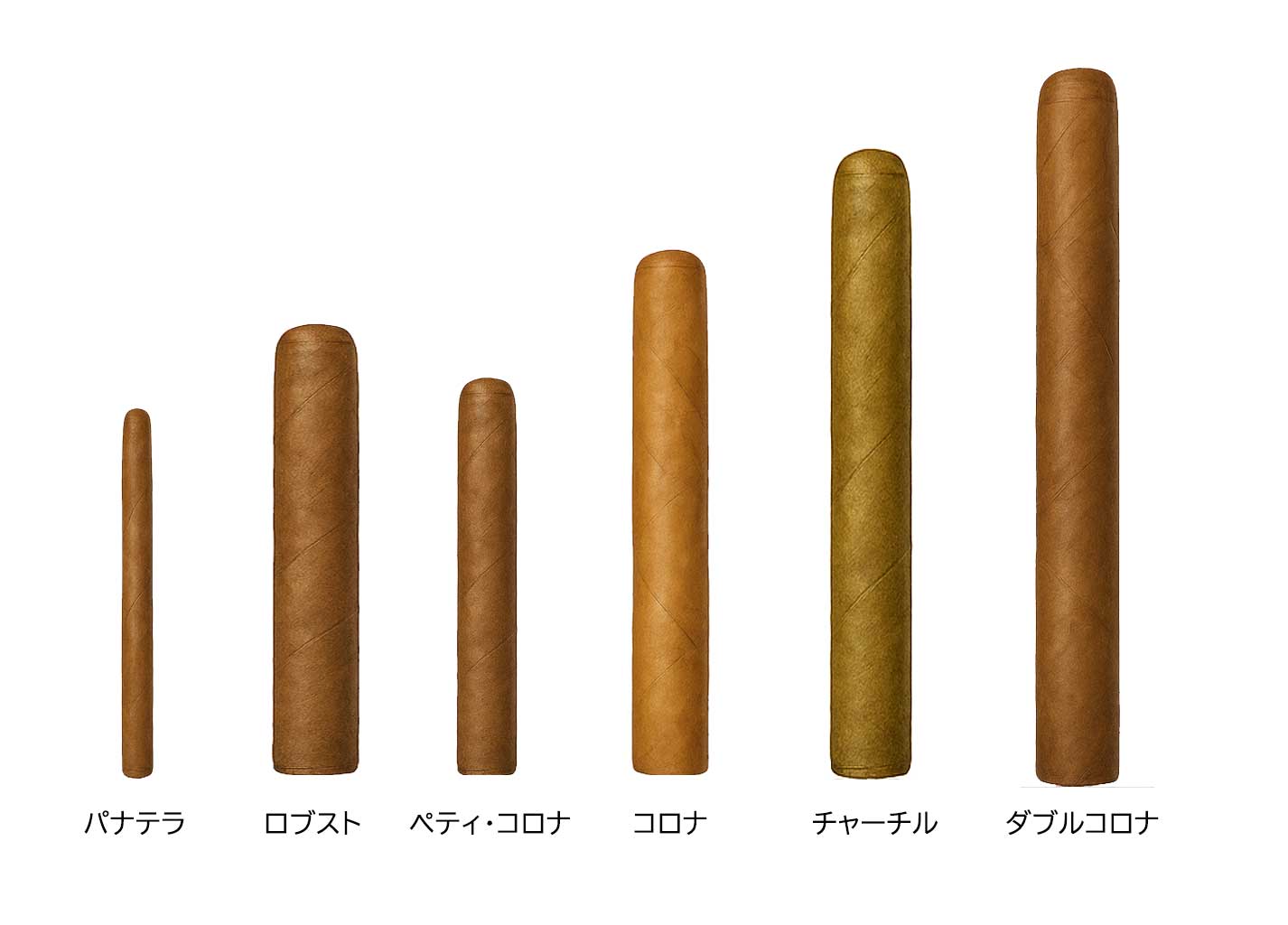 葉巻（シガー）サイズ表
